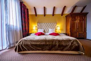 Гостевой дом Trattoria Al Gallo Бран Двухместный номер с 1 кроватью-39