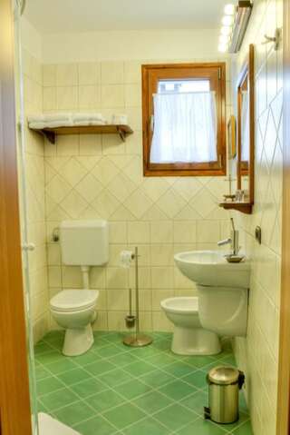 Гостевой дом Trattoria Al Gallo Бран Двухместный номер с 1 кроватью-59